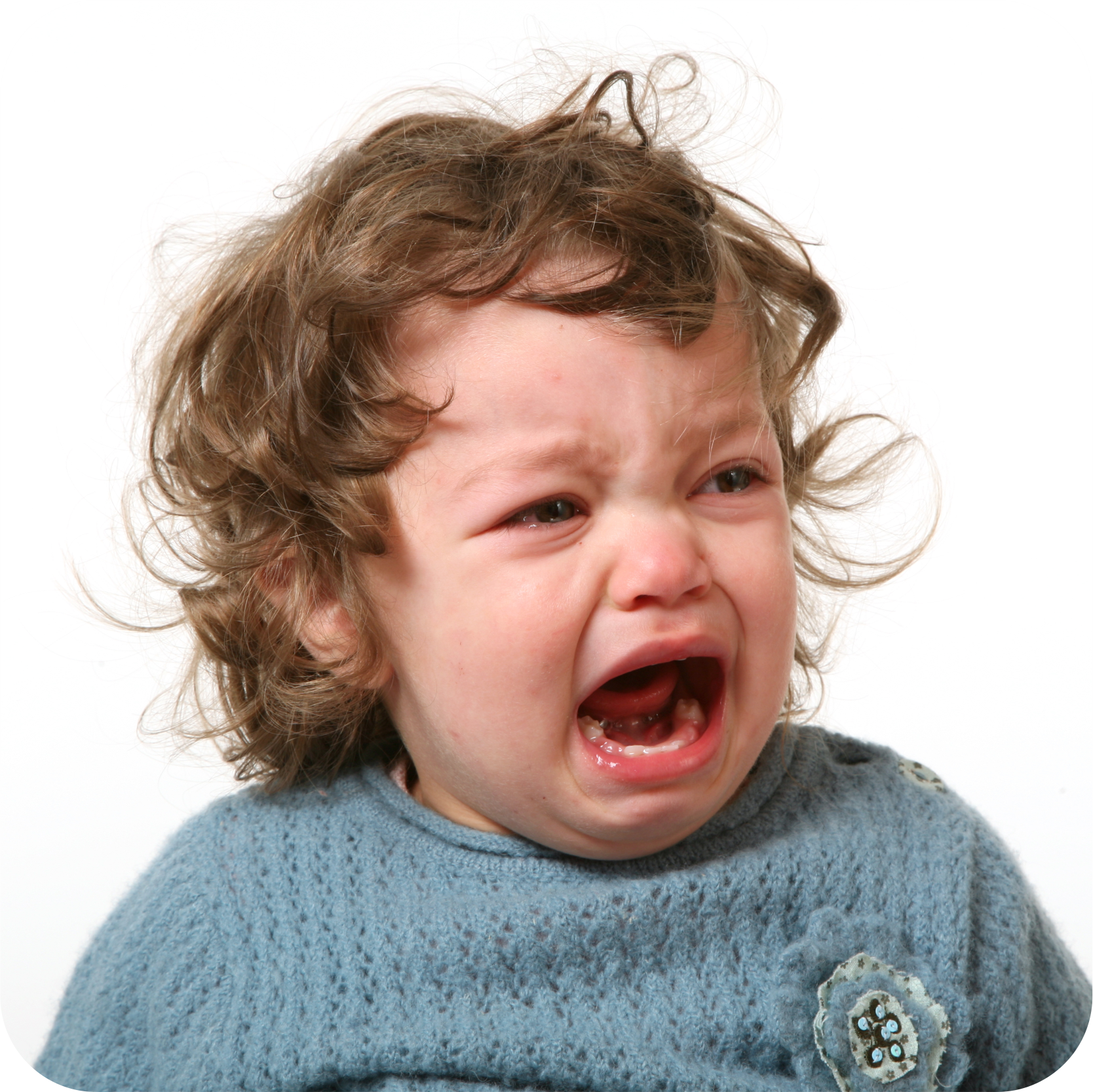 bebé a chorar fazer birra