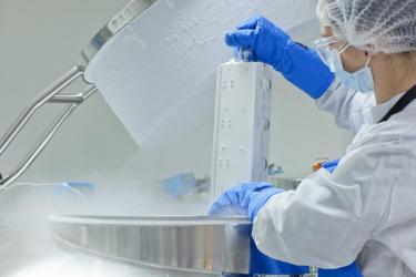 senhora no laboratório